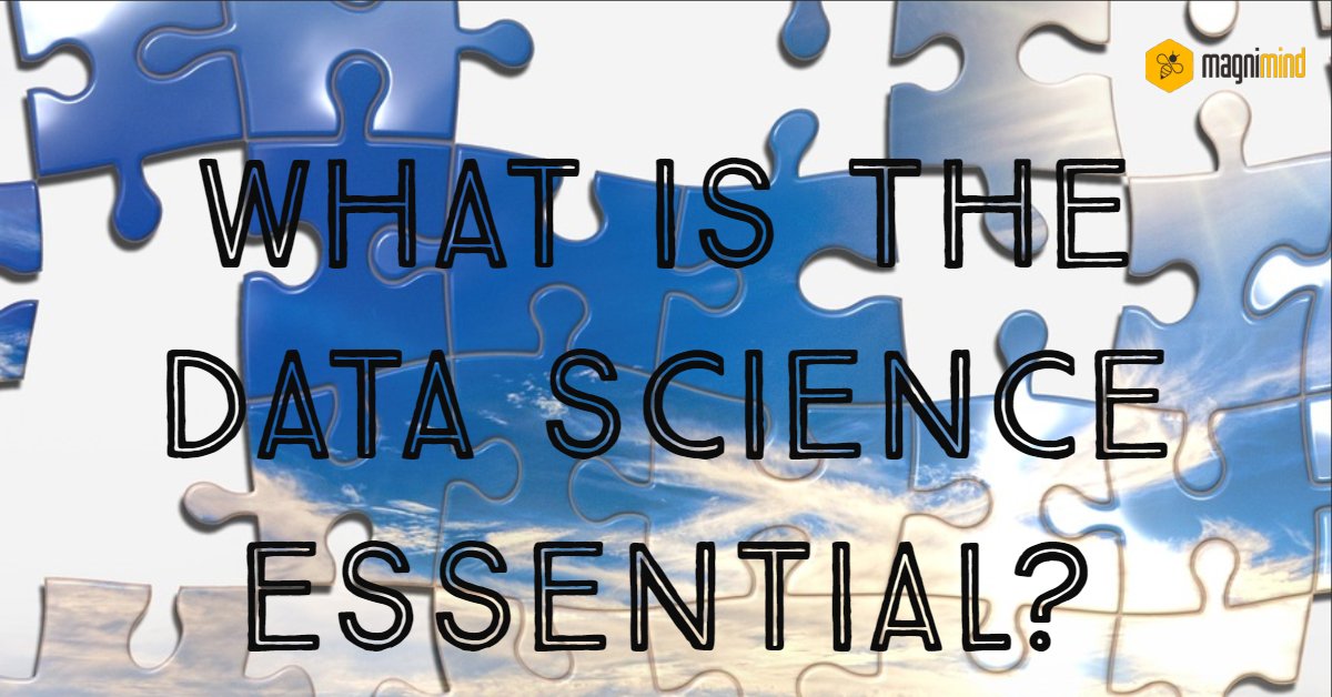 What is the data science essential