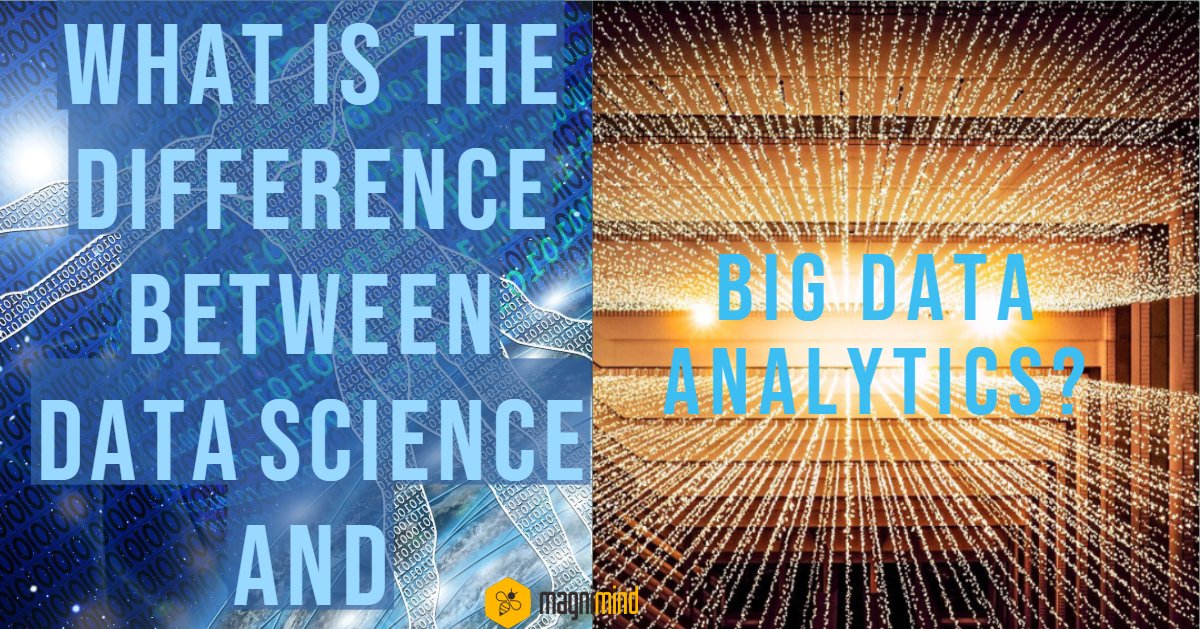 What is the difference between data science and big data analytics