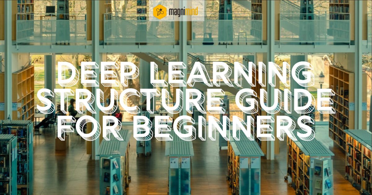 Deep learning structure guide for beginners