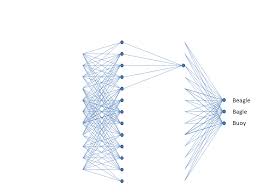 Fundamentals of Convolutional Neural Networks