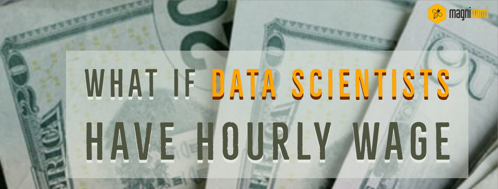 What if data scientists have hourly wage