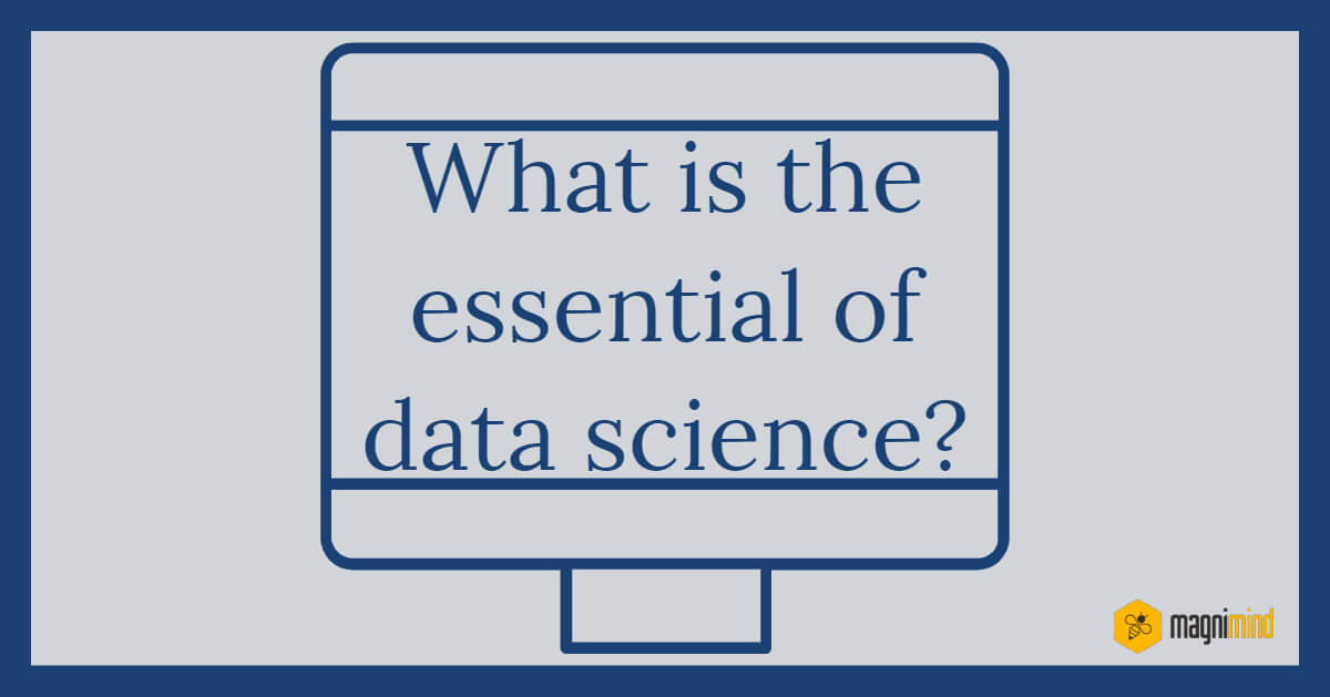 What is the essential of data science?