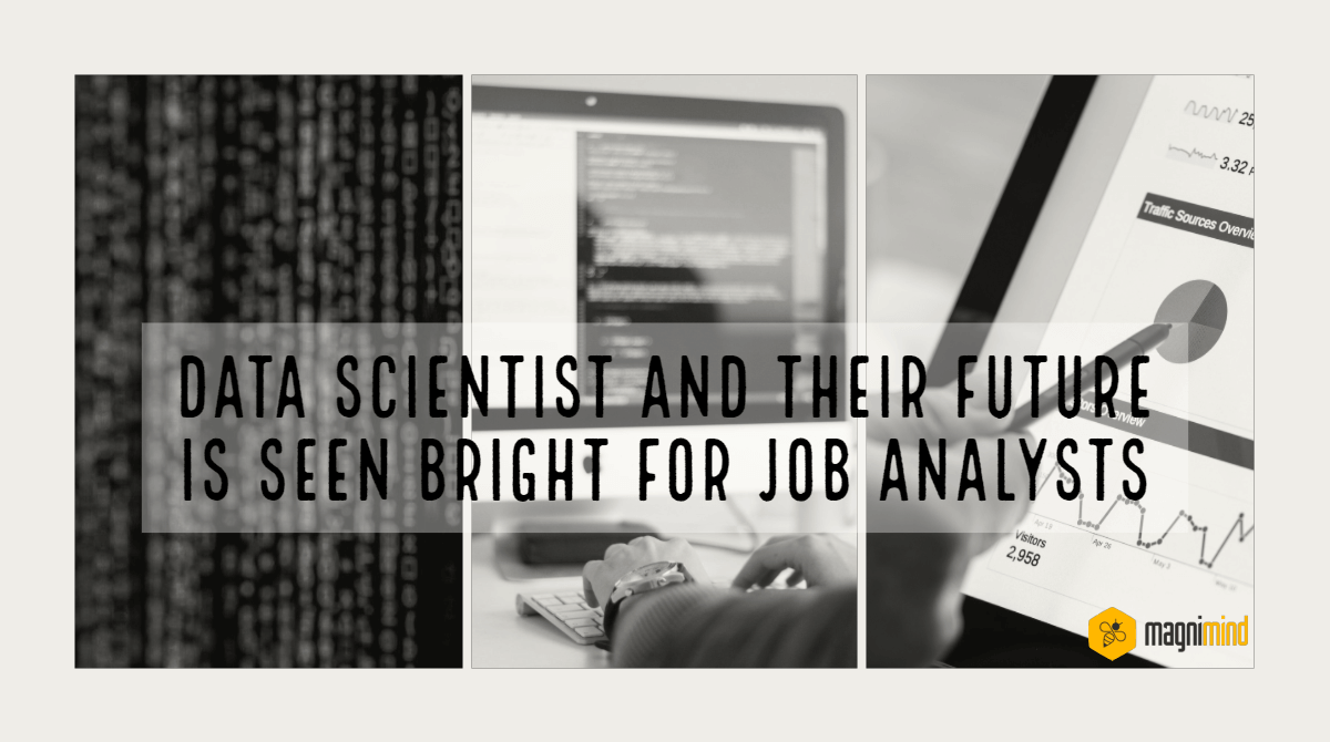 Data scientist and their future is seen bright for job analysts