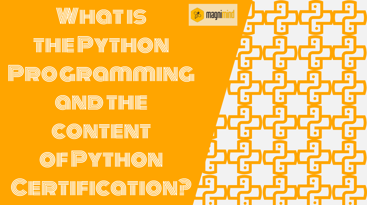 What is the Python Programming and the content of Python Certification?