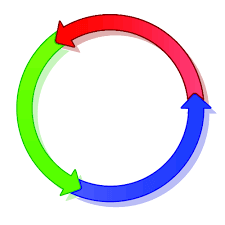 Overlapping skills between a data scientist and a data engineer