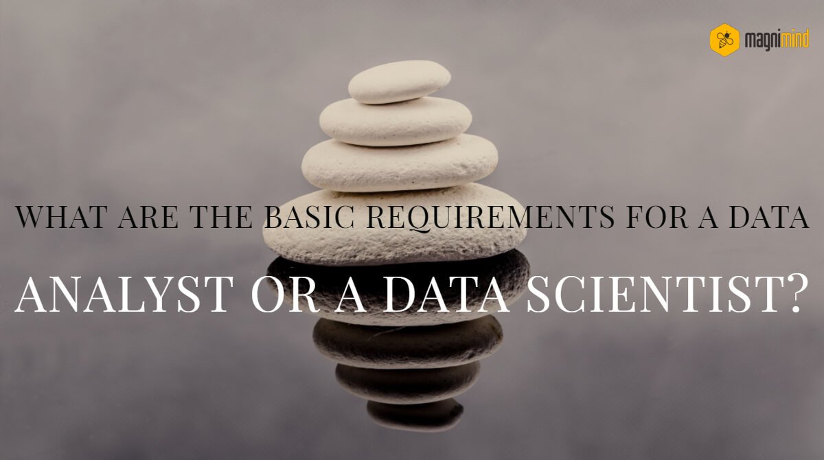 What are the basic requirements for a data analyst or a data scientist