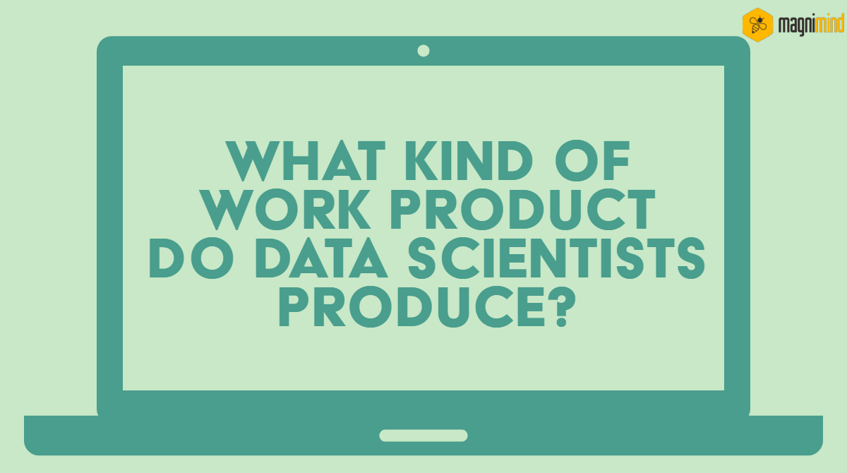 What kind of work product do data scientists produce