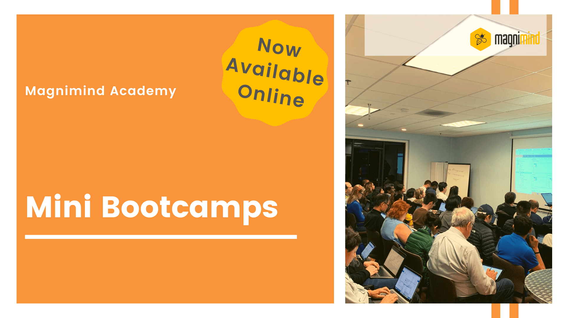 Magnimind Academy minibootcamps