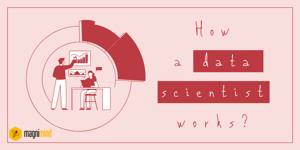 How a data scientist works