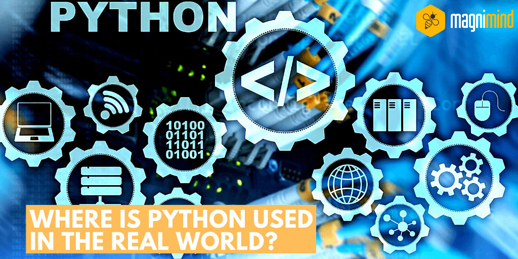 Where is Python used in the real world_